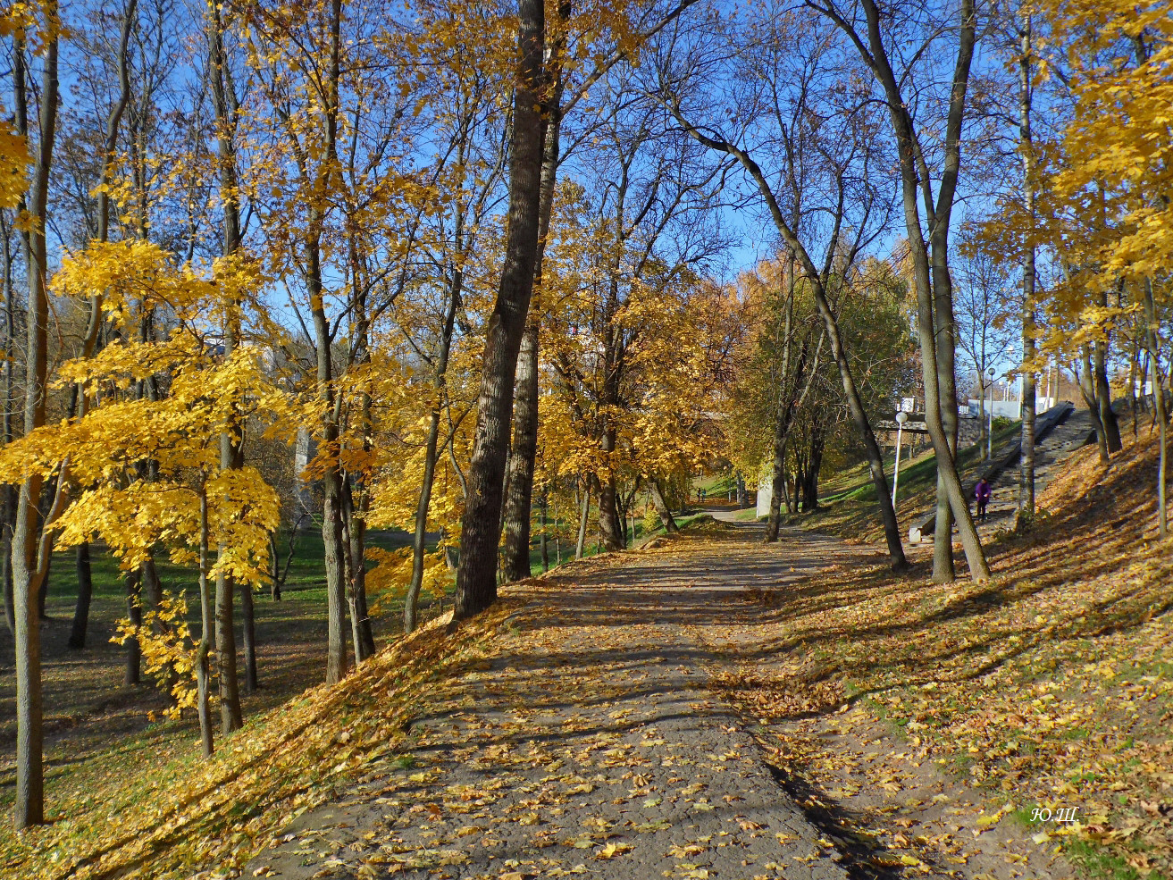 Витебск осень