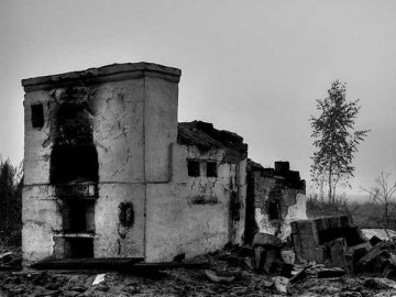 На месте деревенской ізбы осталась только печь. Фото Сергея Серебро