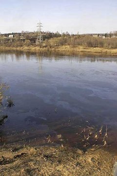 Заходняя Дзвіна ў раёне Наваполацка 28 сакавіка -- на вадзе нафтавая плёнка. Фота Зміцера Оськіна