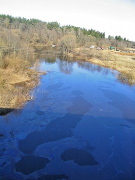 Улла покрыта разводами радужной пленки. Фото Марины Павловой