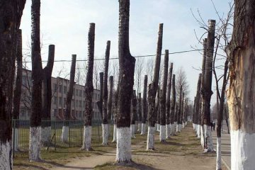 Віцебск. Вуліца Праўды ў раёне сярэдняй школы №28. Фота Сержука Серабро