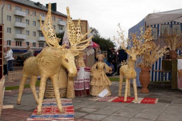 Дажынкі 2008. Орша. Фота Сержука Серабро