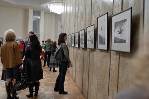 Выставка московского фотохудожника Владимира Луповского. Витебск. Фото Сергея Серебро