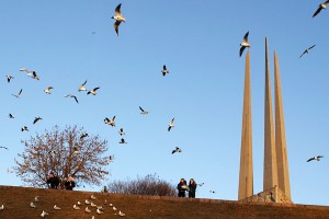 Шоу чаек на Дзвіне. Фота Сержука Серабро