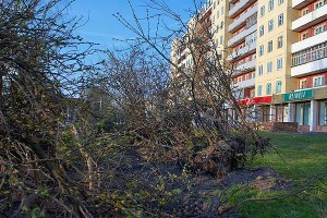 Знішчэнне сквера на плошчы Перамогі ў Віцебску. Фота Сержука Серабро