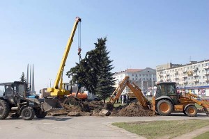 Выкарчоўка дрэваў на плошчы Перамогі ў Віцебску. Фота Сержука Серабро