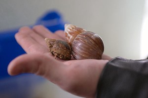 Віцебскі заапарк / Витебскиий зоопарк. Фота Сержука Серабро