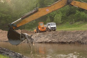 В Витебске началось благоустройство поймы реки Витьба. Фото Сергея Серебро