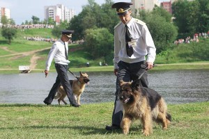 Воднае свята на Віцьбе, з нагоды Дня Незалежнасці Рэспублікі Беларусь. Фота Сержука Серабро