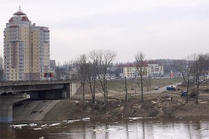 Вырубка дрэў на правым беразе Дзвіны. Фота Сержука Серабро