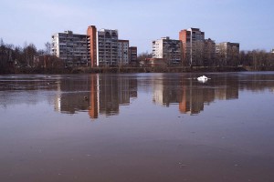 В Витебске продолжается паводок на реках Двина и Витьба. Фото Сергея Серебро