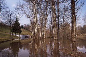 В Витебске продолжается паводок на реках Двина и Витьба. Фото Сергея Серебро
