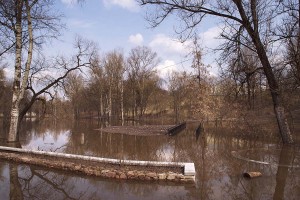В Витебске продолжается паводок на реках Двина и Витьба. Фото Сергея Серебро