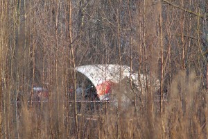 Место катастрофы польского самолета Ту-154  под Смоленском. Фото Сергея Серебро