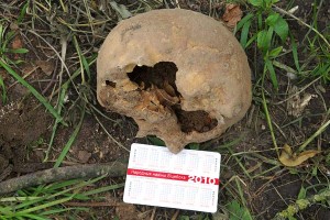 В Витебске при земляных работах обнаружен человеческий череп. Фото Сергея Серебро