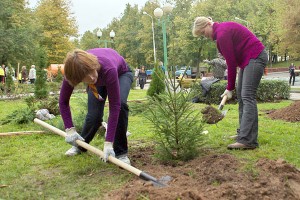 В Витебске появилась «Аллея СМИ». Фото Сергея Серебро