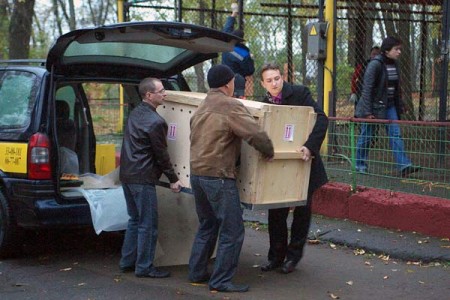 В Витебский зоопарк привезли 10-месячного львенка из Калининграда. Фото Сергея Серебро