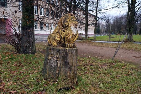 Некаторыя пні вось так аздобленыя. Фота Сержука Серабро