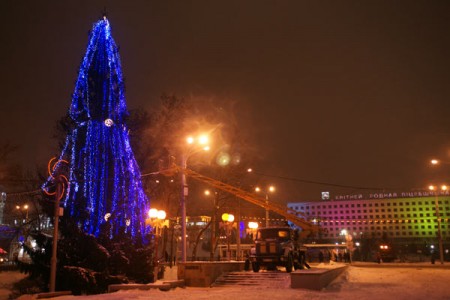 У цэнтры Віцебска ўпрыгожваюць жывую яліну. Фота Сержука Серабро