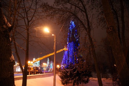 У цэнтры Віцебска ўпрыгожваюць жывую яліну. Фота Сержука Серабро