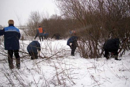 Вырубка кустарников в районе завода БПД. Courtesy photo