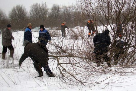 Вырубка кустарников в районе завода БПД. Courtesy photo