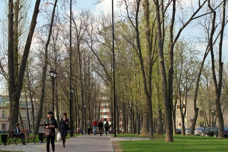 Алею на вуліцы Багдана Хмяльніцкага ўпрыгожваюць гірляндай. Фота Сержука Серабро