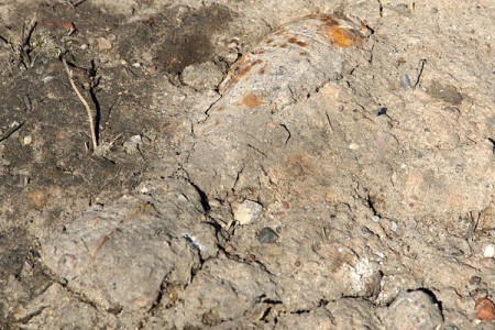 Минометная мина в песке на берегу Двины в центре Витебска. Фото Сергея Серебро