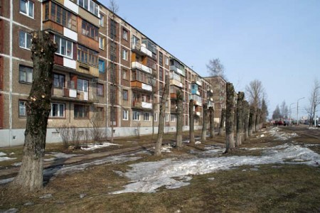Топпинг тополей на улице Терешковой. Фото Сергея Серебро