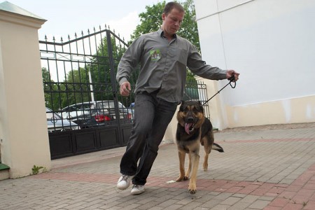 В Витебске прошла выставка собак. Фото Сергея Серебро