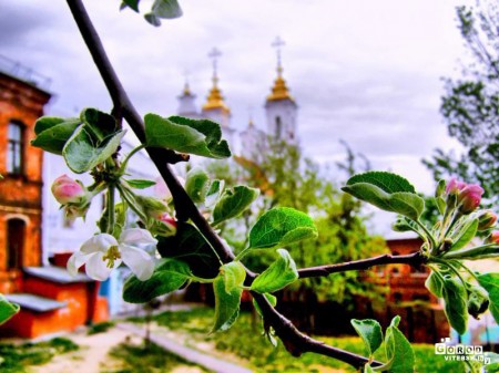 Весна в Вітебске. Евгений Гребенчук. 3-е место