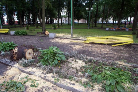 В Витебске ветер повалил несколько деревьев. Фото Сергея Серебро