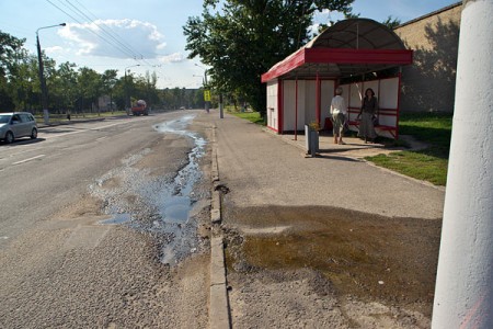 На вуліцы Праўды ў Віцебску з-пад асфальту б’е крыніца. Фота Сержука Серабро