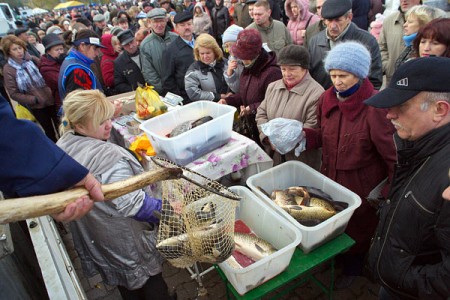 В Витебске прошла ярмарка «Рыба Беларуси». Фото Сергея Серебро