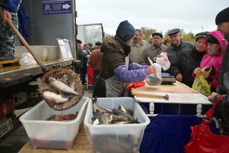 В Витебске прошла ярмарка «Рыба Беларуси». Фото Сергея Серебро