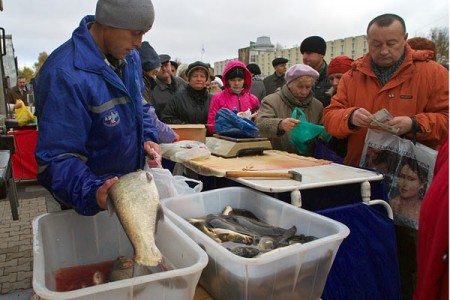 В Витебске прошла ярмарка «Рыба Беларуси». Фото Сергея Серебро
