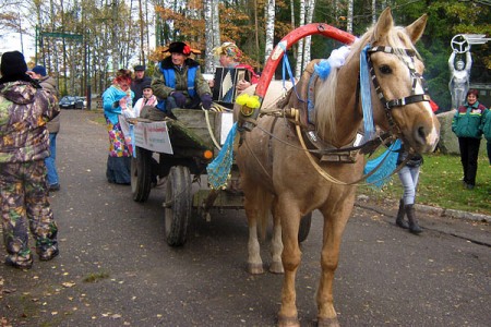 На спартакиаде автомобилистов звездой стала лошадь Полоцкого автопарка. Фото Маріны Павловой