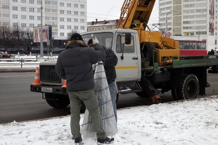 Витебские туи «утеплили» на зиму. Фото Яны Ильиной