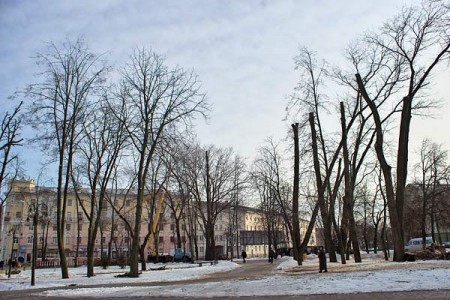 В парке рядом с железнодорожным вокзалом в Витебске идет тотальная обрезка деревьев. Фото Сергея Серебро