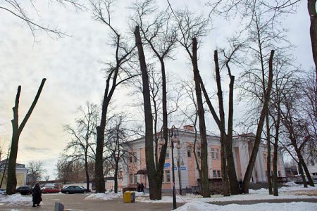 В парке рядом с железнодорожным вокзалом в Витебске идет тотальная обрезка деревьев. Фото Сергея Серебро