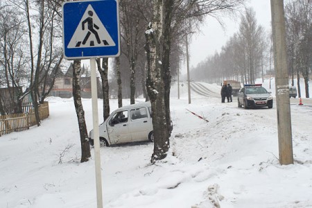 Женщина-водитель спасала выбежавшую на дорогу собаку и погибла. Фото Сергея Серебро