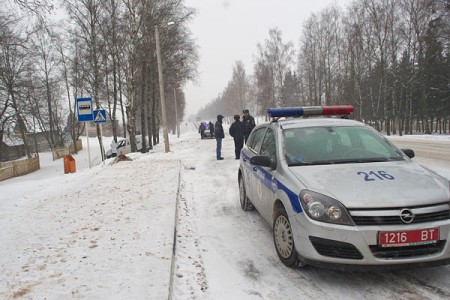 Женщина-водитель спасала выбежавшую на дорогу собаку и погибла. Фото Сергея Серебро