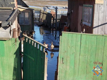 Первые жертвы половодья в Витебской области. Фото МЧС