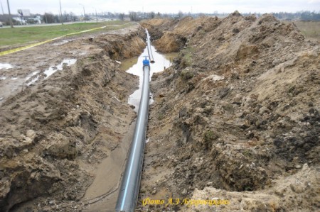 У Полацку будаўнічая тэхніка зноў выкапала чалавечыя парэшкі. Фота А. Бухавецкага