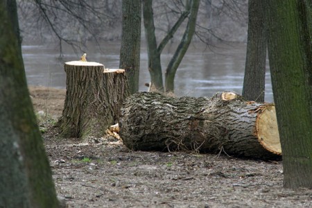 В Витебске готовят фронт работ для губернатора. Фото Сергея Серебро