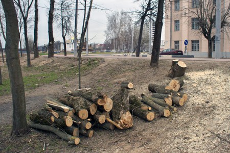 В Витебске готовят фронт работ для губернатора. Фото Сергея Серебро