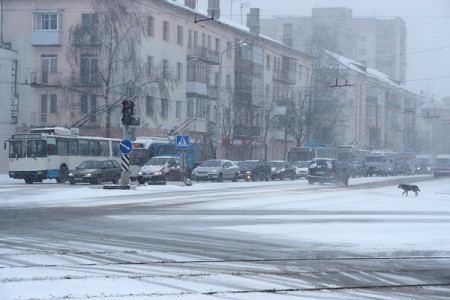 Апрельская метель в Витебске. Фото Серегея Серебро