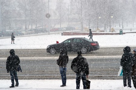 Автомобиль китайских дипломатов в Витебске. Фото Серегея Серебро