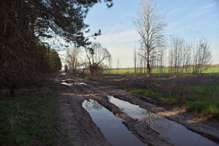 Так выглядае дарога ад Ульянаўкі на вясковыя могілкі. Фота Сержука Серабро