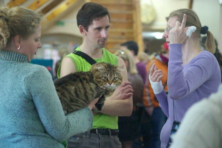 В Витебске прошла выставка кошек. Фото Сергея Серебро